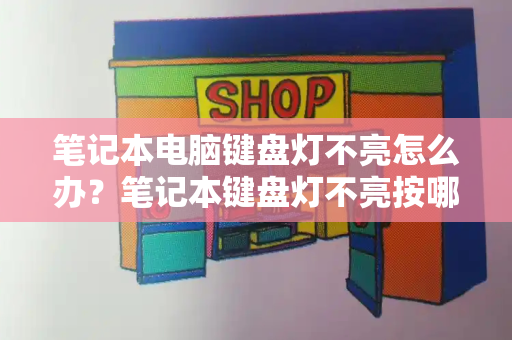 笔记本电脑键盘灯不亮怎么办？笔记本键盘灯不亮按哪个键恢复-第1张图片-星选测评