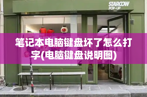 笔记本电脑键盘坏了怎么打字(电脑键盘说明图)-第1张图片-星选测评