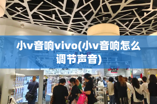 小v音响vivo(小v音响怎么调节声音)