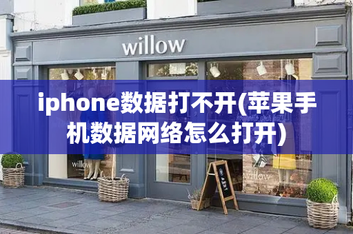 iphone数据打不开(苹果手机数据网络怎么打开)