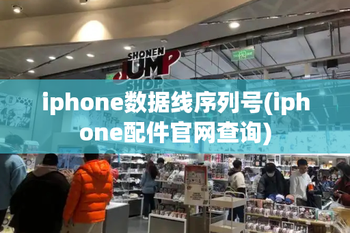 iphone数据线序列号(iphone配件官网查询)