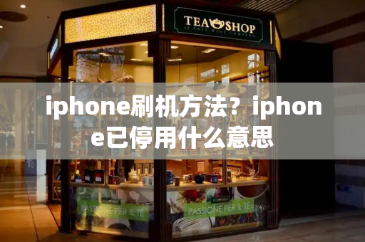 iphone刷机方法？iphone已停用什么意思-第1张图片-星选测评