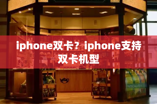 iphone双卡？iphone支持双卡机型-第1张图片-星选测评