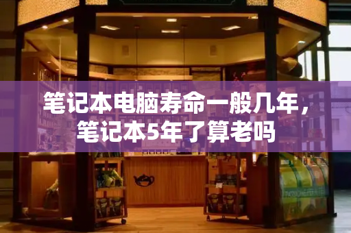 笔记本电脑寿命一般几年，笔记本5年了算老吗-第1张图片-星选测评