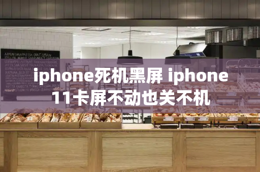 iphone死机黑屏 iphone11卡屏不动也关不机-第1张图片-星选测评