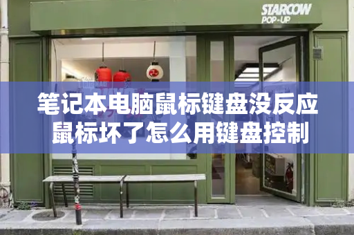 笔记本电脑鼠标键盘没反应 鼠标坏了怎么用键盘控制-第1张图片-星选测评