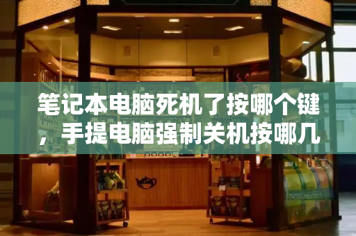 笔记本电脑死机了按哪个键，手提电脑强制关机按哪几个键