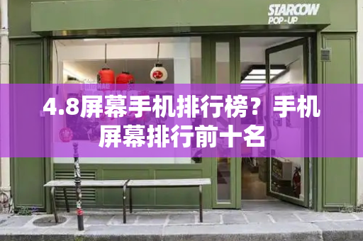 4.8屏幕手机排行榜？手机屏幕排行前十名