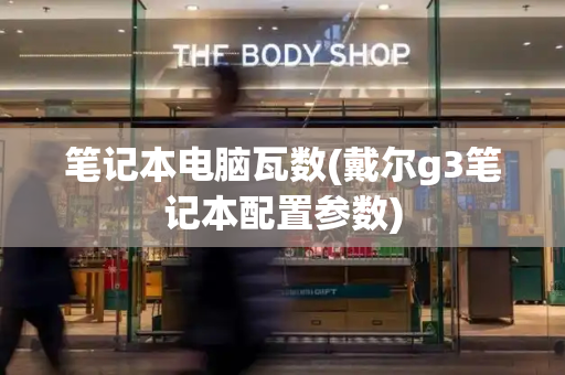 笔记本电脑瓦数(戴尔g3笔记本配置参数)-第1张图片-星选测评