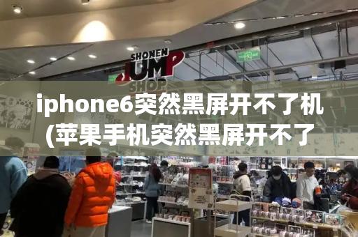 iphone6突然黑屏开不了机(苹果手机突然黑屏开不了机)-第1张图片-星选值得买