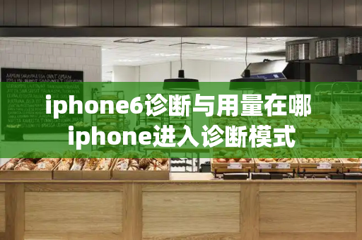 iphone6诊断与用量在哪 iphone进入诊断模式