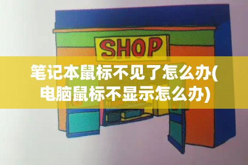 笔记本鼠标不见了怎么办(电脑鼠标不显示怎么办)-第1张图片-星选测评