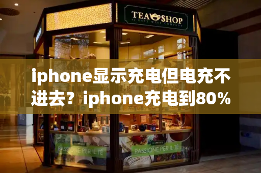 iphone显示充电但电充不进去？iphone充电到80%充不进去-第1张图片-星选测评