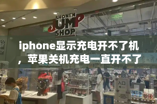 iphone显示充电开不了机，苹果关机充电一直开不了机-第1张图片-星选测评