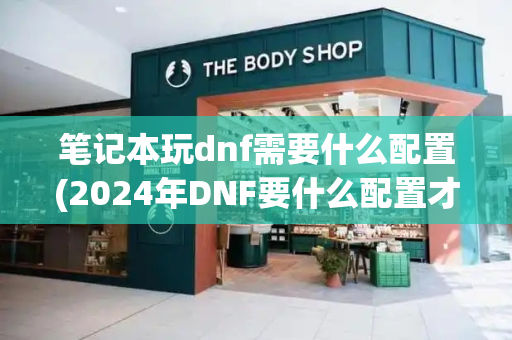 笔记本玩dnf需要什么配置(2024年DNF要什么配置才能玩)