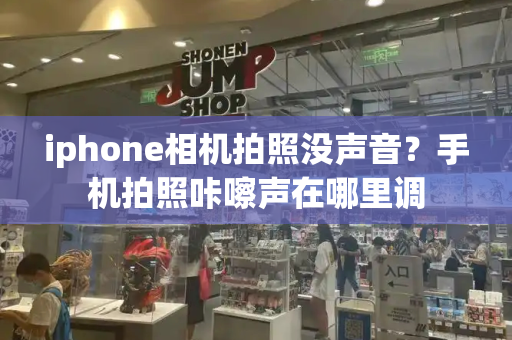 iphone相机拍照没声音？手机拍照咔嚓声在哪里调