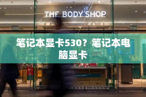 笔记本显卡530？笔记本电脑显卡-第1张图片-星选测评