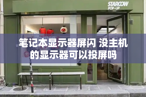 笔记本显示器屏闪 没主机的显示器可以投屏吗-第1张图片-星选测评