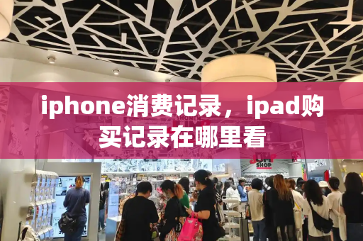 iphone消费记录，ipad购买记录在哪里看