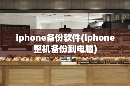 iphone备份软件(iphone整机备份到电脑)