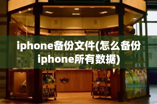 iphone备份文件(怎么备份iphone所有数据)