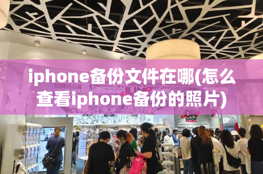 iphone备份文件在哪(怎么查看iphone备份的照片)