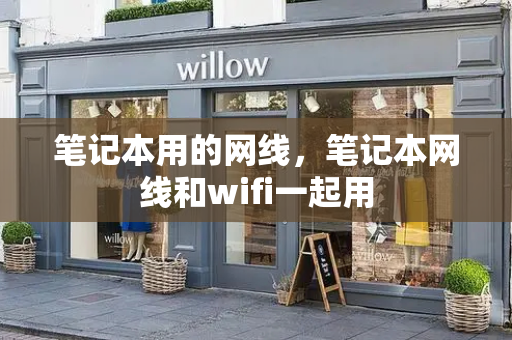 笔记本用的网线，笔记本网线和wifi一起用-第1张图片-星选测评