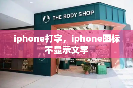 iphone打字，iphone图标不显示文字