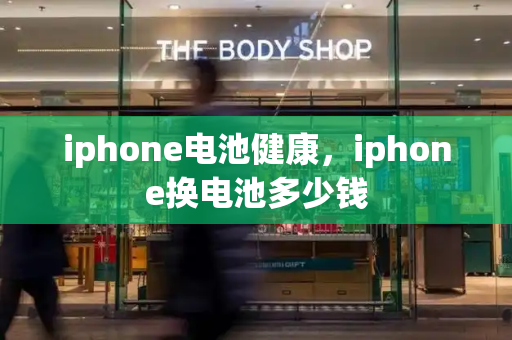 iphone电池健康，iphone换电池多少钱-第1张图片-星选值得买