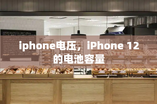 iphone电压，iPhone 12的电池容量