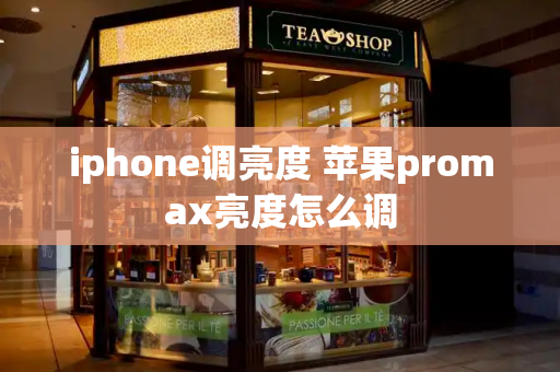 iphone调亮度 苹果promax亮度怎么调