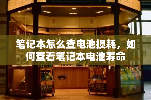 笔记本怎么查电池损耗，如何查看笔记本电池寿命