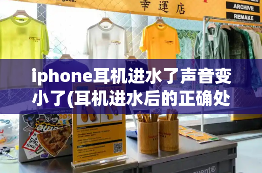 iphone耳机进水了声音变小了(耳机进水后的正确处理方法)