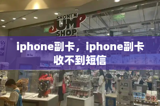 iphone副卡，iphone副卡收不到短信-第1张图片-星选值得买