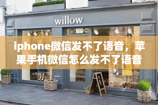 iphone微信发不了语音，苹果手机微信怎么发不了语音