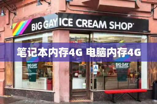 笔记本内存4G 电脑内存4G-第1张图片-星选测评