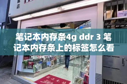 笔记本内存条4g ddr 3 笔记本内存条上的标签怎么看-第1张图片-星选测评