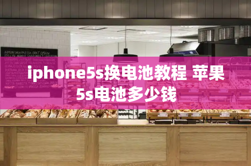 iphone5s换电池教程 苹果5s电池多少钱