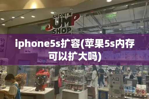 iphone5s扩容(苹果5s内存可以扩大吗)