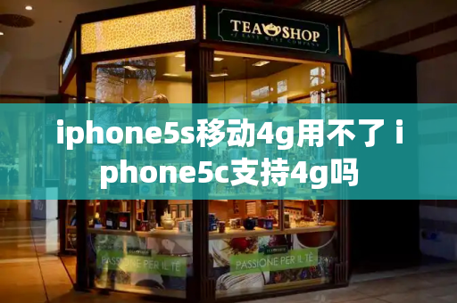 iphone5s移动4g用不了 iphone5c支持4g吗