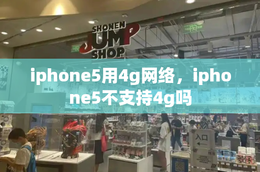 iphone5用4g网络，iphone5不支持4g吗-第1张图片-星选值得买