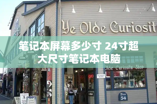 笔记本屏幕多少寸 24寸超大尺寸笔记本电脑