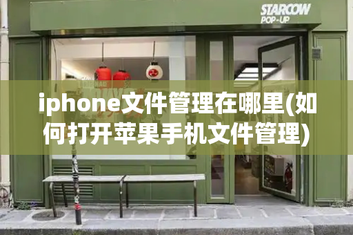 iphone文件管理在哪里(如何打开苹果手机文件管理)-第1张图片-星选测评