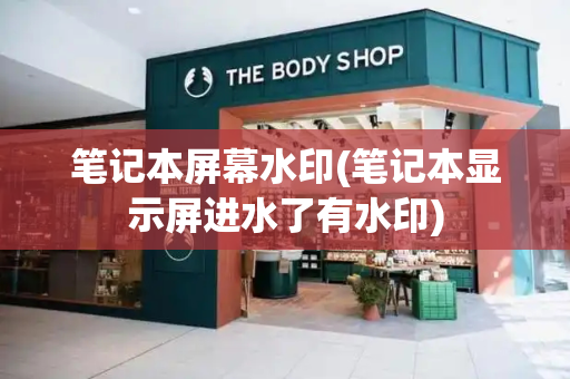 笔记本屏幕水印(笔记本显示屏进水了有水印)