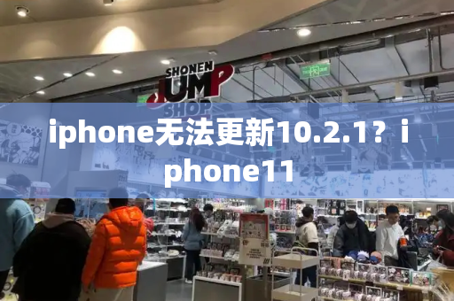 iphone无法更新10.2.1？iphone11