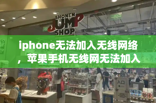 iphone无法加入无线网络，苹果手机无线网无法加入网络-第1张图片-星选测评