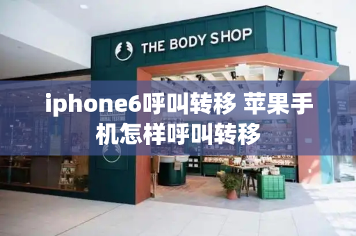 iphone6呼叫转移 苹果手机怎样呼叫转移-第1张图片-星选值得买