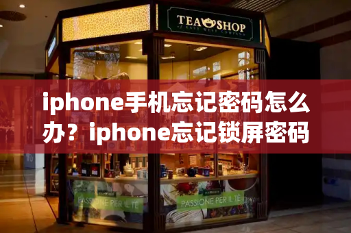 iphone手机忘记密码怎么办？iphone忘记锁屏密码了咋办-第1张图片-星选值得买