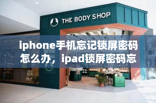 iphone手机忘记锁屏密码怎么办，ipad锁屏密码忘记了怎么办-第1张图片-星选值得买