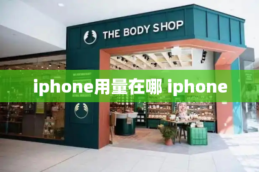 iphone用量在哪 iphone-第1张图片-星选测评